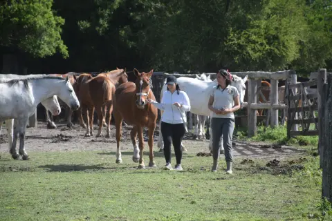 Cabalgata en Esencia Ecuestre