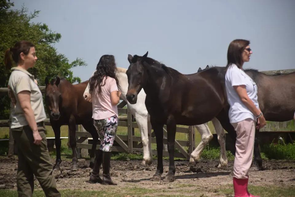 Cabalgatas de Esencia Ecuestre en Punta Indio