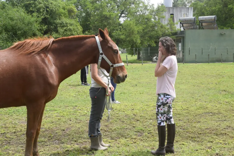 Cabalgatas de Esencia Ecuestre en Punta Indio