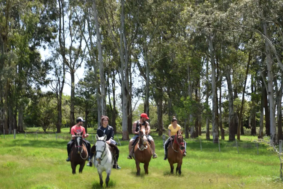 Cabalgatas de Esencia Ecuestre en Punta Indio