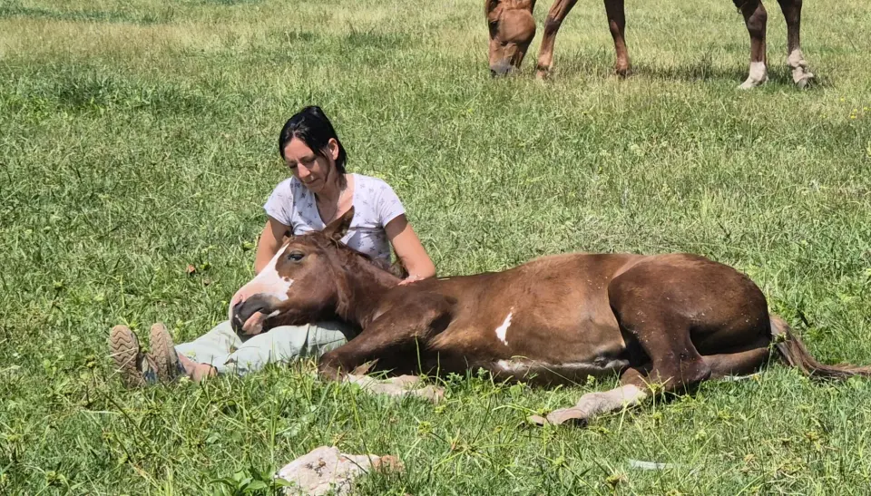 Cabalgatas de Esencia Ecuestre en Punta Indio
