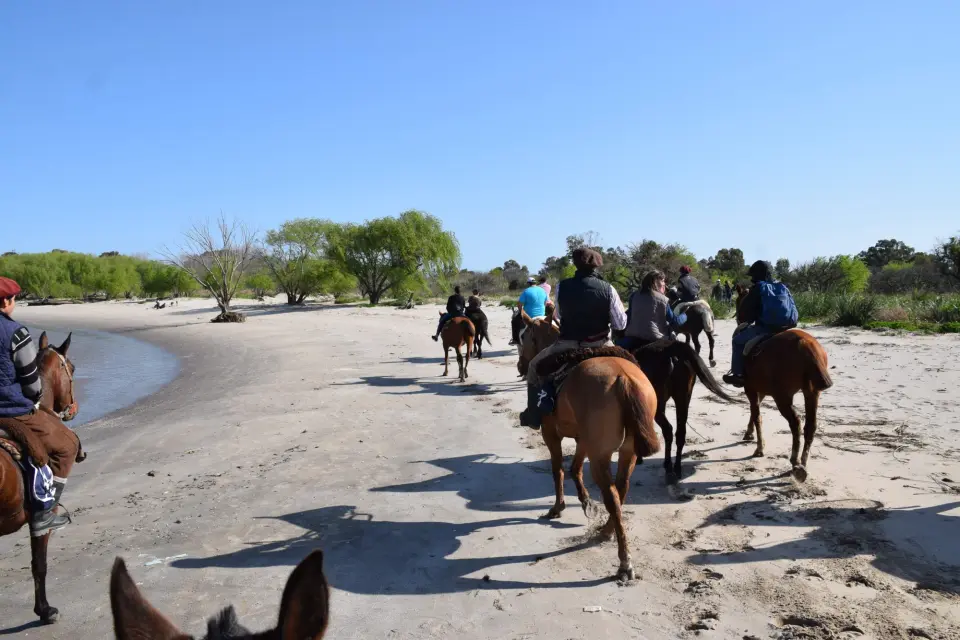 Cabalgatas de Esencia Ecuestre en Punta Indio