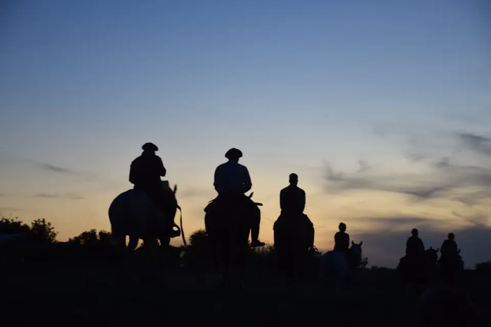 Cabalgatas de Esencia Ecuestre en Punta Indio