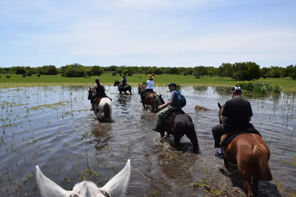 Cabalgatas de Esencia Ecuestre en Punta Indio