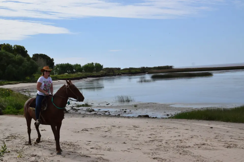 Cabalgatas de Esencia Ecuestre en Punta Indio