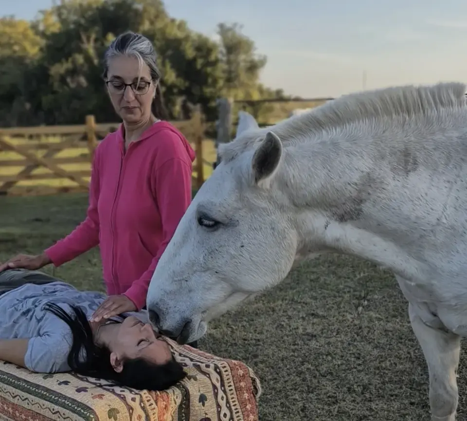 Armonización Energética con Caballos