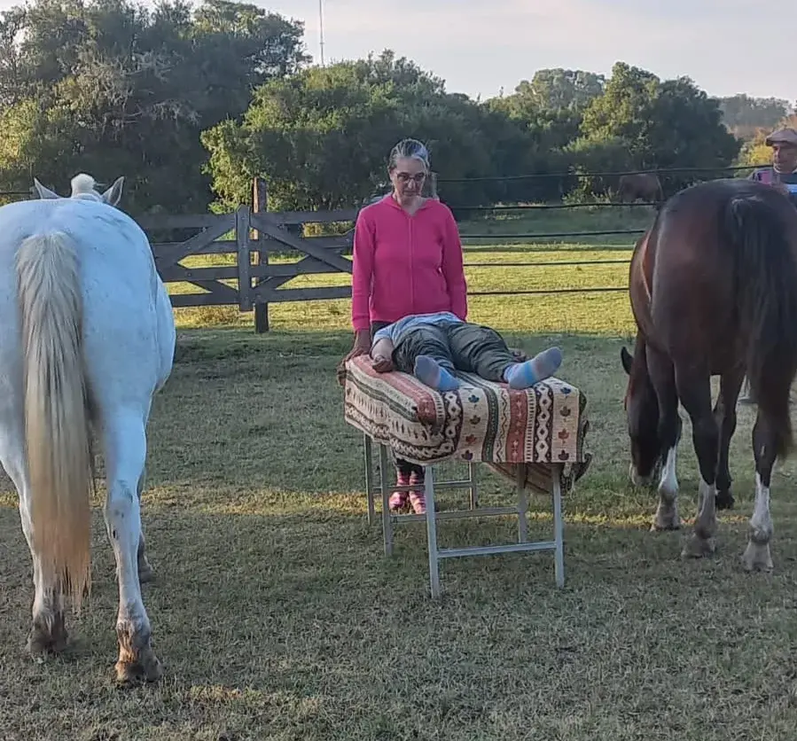 Armonización Energética con Caballos