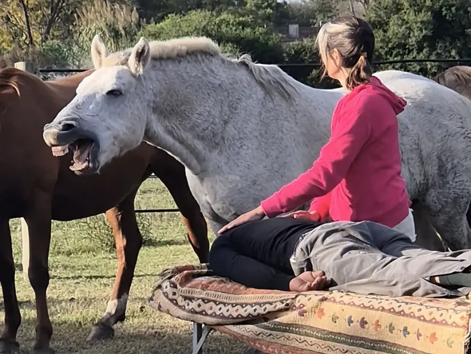 Armonización Energética con Caballos