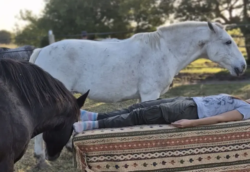 Armonización Energética con Caballos