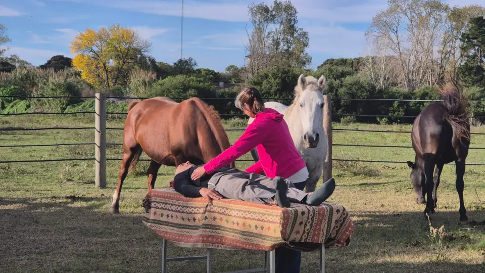 Armonización Energética con Caballos