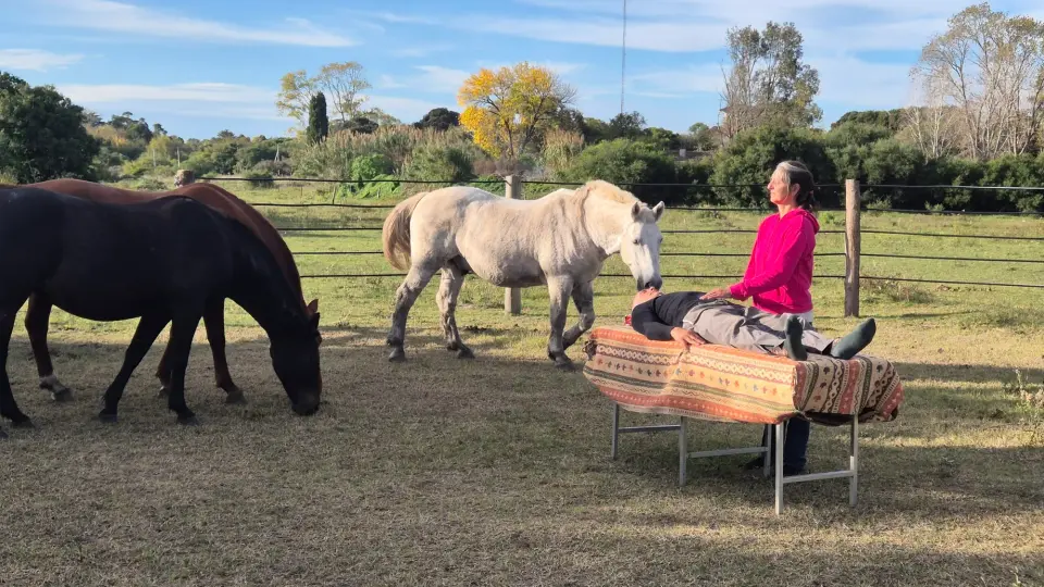 Armonización Energética con Caballos